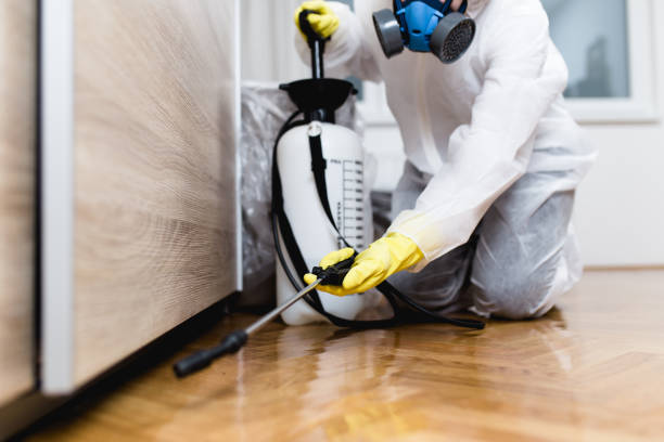 Best Wasp Removal Services  in Churchville, NY