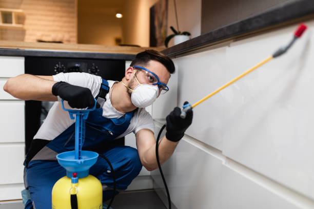 Best Pest Inspection Near Me  in Churchville, NY