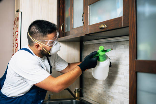 Best Commercial Pest Control Services  in Churchville, NY