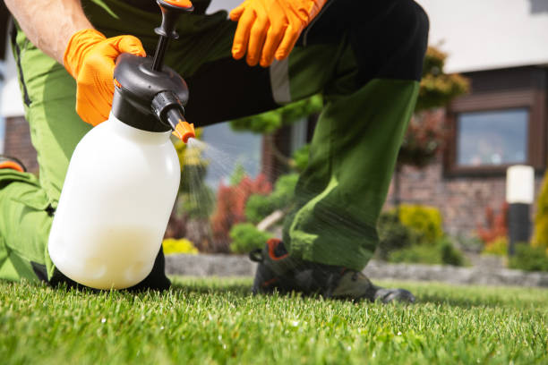 Best Best Pest Control Companies  in Churchville, NY