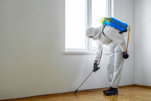 Best Termite Control Services  in Churchville, NY